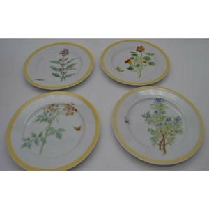 William Sonoma flowering herbs salad plates 8 1/2 inches